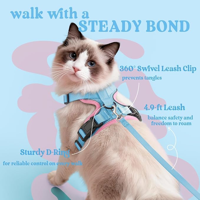rabbitgoo Cat Harness and Leash Set, Escape Proof Vest, Light Blue & Pink | Soft Breathable Mesh, Easy Adjustable Fit, Snap Buckles, Sturdy Clip, Reflective Strips, for Medium to Large Cats Walks, M