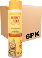Burts Bees for Pets Hypoallergenic Cat Shampoo, Unscented, 10 Fl Oz, 6-Pk | Gentle shea butter and honey formula for indoor cats with dry or sensitive skin, pH balanced