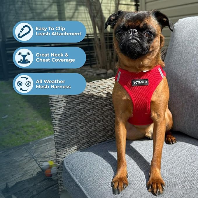 Best Pet Supplies Voyager Step-in Air All Weather Mesh Harness and Reflective Dog 5ft Leash Combo with Neoprene Handle, for Small, Medium and Large Breed Puppies - Red, X-Large