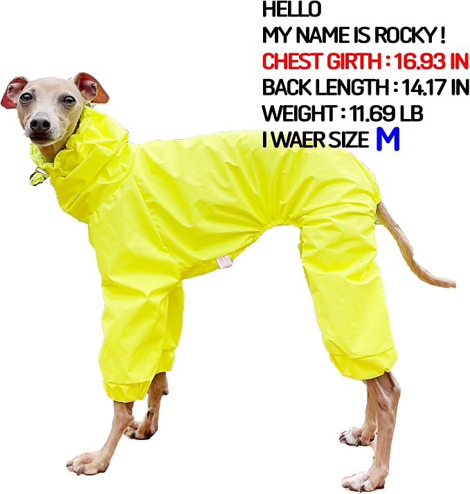 D Doggy Star Italian Greyhound Raincoat Waterproof Jacket Windbreaker Clothes Whippet for Dog (2XL,Raincoat Yellow)