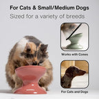Raised Cat Food Bowl, Tilted Bowl for Cats, Dogs, 12 oz, Seafoam