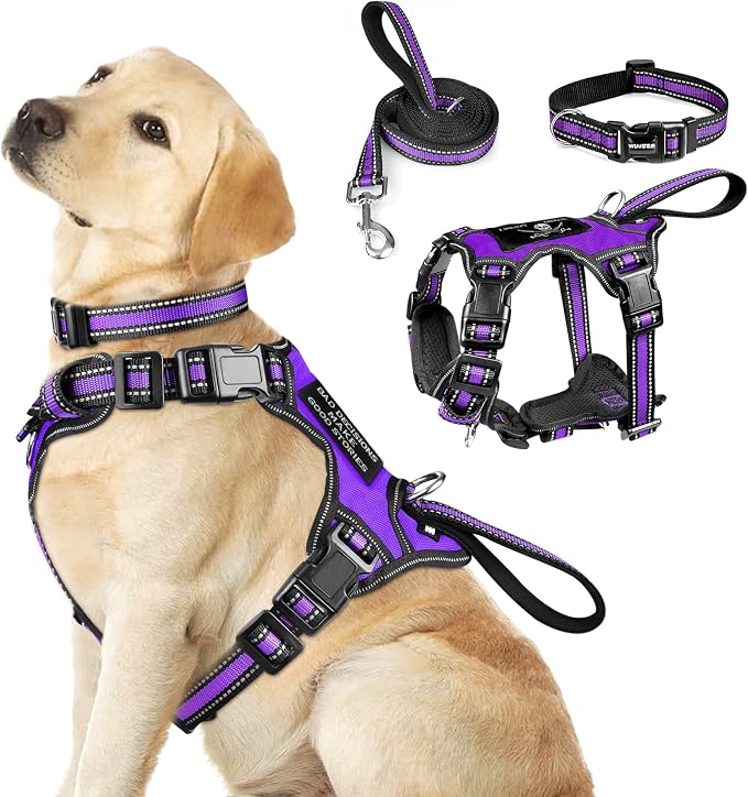 WINSEE Pet Harness Collar and Leash Set, All-in-one Reflective Dog Harness No Pull with Adjustable Buckles for Puppies, Small, Medium, Large, and Extra-Large Dogs (Large, Purple)
