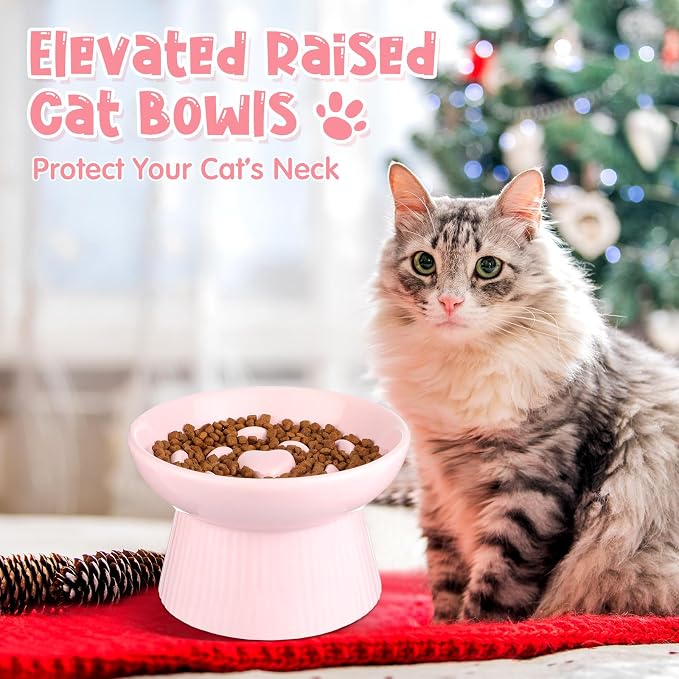 Tioncy 2 Pcs Ceramic Elevated Slow Feeder Cat Bowl, Raised Cat Slow Feeder Bowl, Anti Vomiting for Dry and Wet Food, No Spill High Edge Easy Clean Dishwasher Safe (Black,Pink)