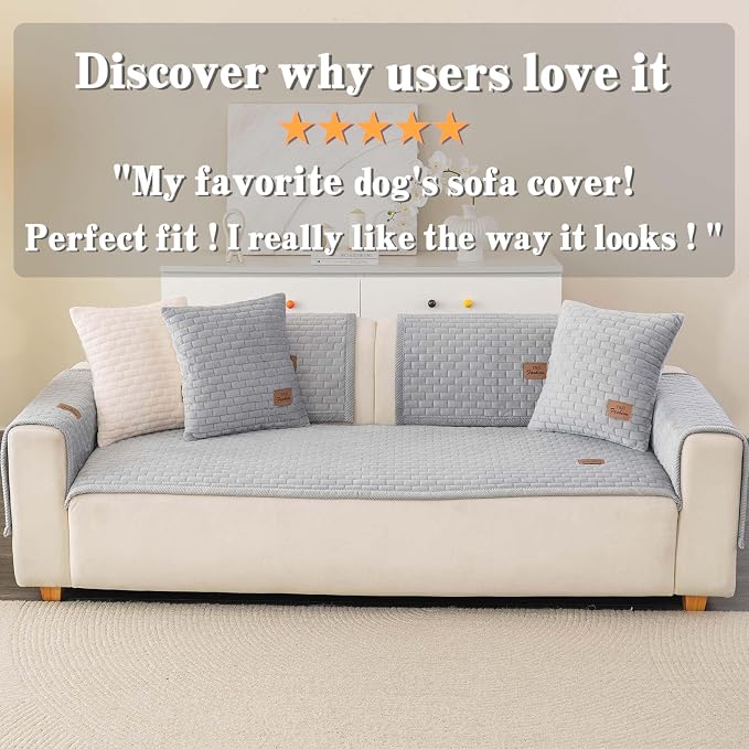 Washable Velvet Dog Couch Cover, Plush Pet Sofa Furniture Protector for 2-3 Cushion Couch, Non-Slip Washable Cover for Dogs(1PC/27.6"x59.1",Light Grey)