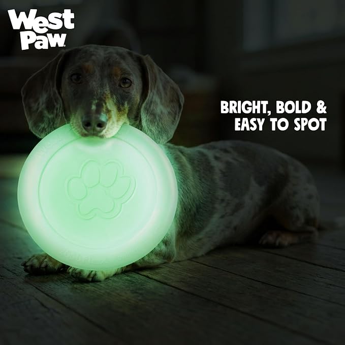 WEST PAW Zogoflex Zisc Dog Flying Disc, High Flying Aerodynamic Disc for Dogs Puppy – Lightweight, Floatable Disc for Fetch, Tug of War, Catch, Play – Doubles as Food/Water Bowl, Large 8.5", Glow
