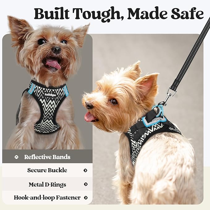 rabbitgoo Dog Harness Small Sized and Leash Set, Step-in Puppy Pet Vest | Light, Soft, Breathable Air Mesh, Easy on and Remove with Hook & Loop, Secure Reflective for Walking, Black Zigzag S