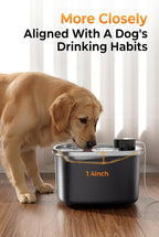 Dog Water Fountain Indoor Homes Stainless Steel 10L/2.64GAL Plug in Plastic Reservoir Stainless Steel Water Bowl Filtered Multi-Pet Quiet Large Black Plug-in &1Filter