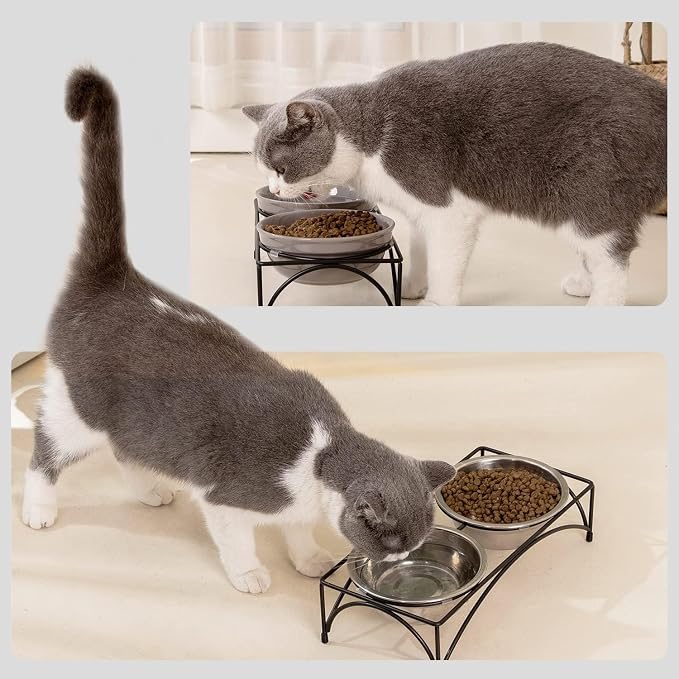 FOREYY Elevated Cat Bowls with 2 Ceramic & 2 Stainless Steel Bowls, Raised Cat Food & Water Dishes with Iron Stand, Porcelain Pet Dishes for Cats & Small Dogs, 16 Ounces, Dishwasher Safe (White)
