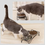 FOREYY Elevated Cat Bowls with 2 Ceramic & 2 Stainless Steel Bowls, Raised Cat Food & Water Dishes with Iron Stand, Porcelain Pet Dishes for Cats & Small Dogs, 16 Ounces, Dishwasher Safe (White)