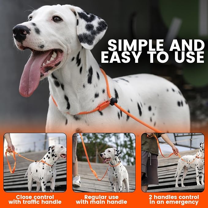 HowGo Slip Lead Dog Leash, 2 Spring-Loaded Slide Stopper (Orange 5.0FT) | Double Paddle Handles Heavy-Duty Training Lead Collar,Lightweight Aluminum Nylon,No-Pull Walking,All Breeds, Dog Trainer