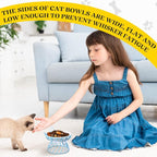 Cat Feeder, 4 Pcs Elevated Ceramic Cat Bowls with Metal Stand, Whisker Friendly, Anti Vomit, Dishwasher Safe, for Dog Pet (Multicolor)