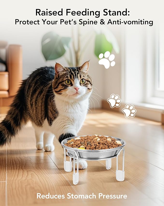Elevated cat Bowl 4PC, 6.3" Wide Raised Cat Bowl | Stainless Steel Cat Food and Water Dishes, Small Dog Bowl, Whisker Friendly, Anti-Vomiting, Neck Stress-Free Bowl Stands