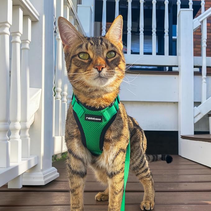 rabbitgoo Cat Harness and Leash Set, Escape Proof Vest, Grass Green | Soft Breathable Mesh, Easy Adjustable Fit, Snap Buckles, Sturdy Clip, Reflective Strips, for Medium to Large Cats Walks, M