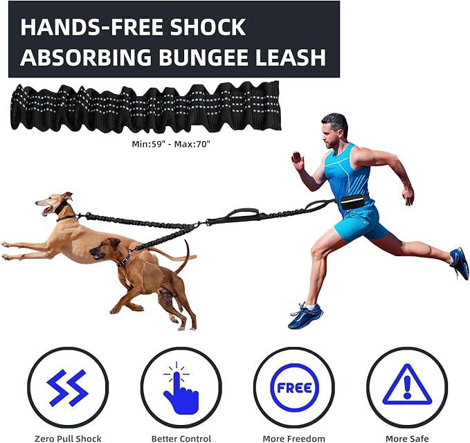 Uppetly Hands Free Double Dog Leash with Pouch, Dual Leash for 2 Dogs with Reflective Padded Handles, Durable Bungee and Lumbar Waist Belt for Walking, Jogging and Running (Medium/Large, 25-120 lbs)