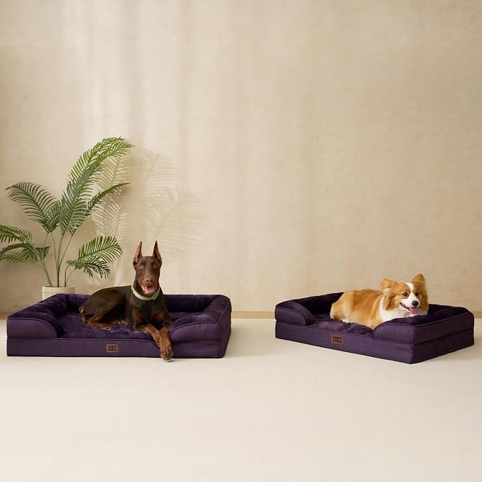 EHEYCIGA Orthopedic Dog Bed for Medium Dogs, Waterproof Memory Foam Medium Dog Beds with Sides, Non-Slip Bottom and Egg-Crate Foam Pet Couch Bed with Washable Removable Cover, Purple