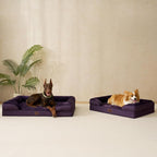 EHEYCIGA Orthopedic Dog Bed for Medium Dogs, Waterproof Memory Foam Medium Dog Beds with Sides, Non-Slip Bottom and Egg-Crate Foam Pet Couch Bed with Washable Removable Cover, Purple