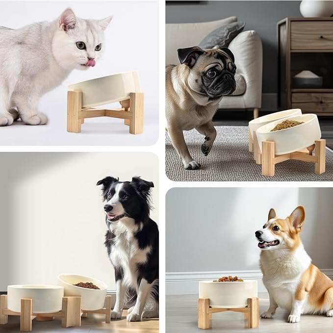 SPUNKYJUNKY 15° Slanted Ceramic Dog and Cat Bowl with Wooden Stand, Tilted Bulldog Food and Water Bowl No Slip Non-Spill for Cats Medium Dogs Big Face Pets 13.5 OZ (1.7 Cups, Beige × 2)