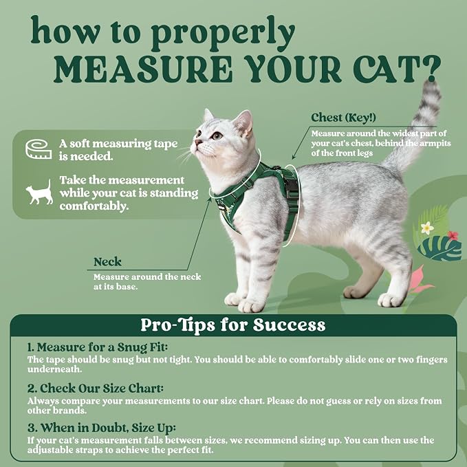 rabbitgoo Cat Harness and Leash Set, Escape Proof Vest, Rainforest Green | Soft Breathable Mesh, Easy Adjustable Fit, Snap Buckles, Sturdy Clip, Reflective Strips, for Kittens & Small Cats Walks, Xxs