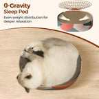 ComSaf Cat Scratcher Bed 17 x 13 in, Oval Cardboard Scratch Pad for Cats | Cat Scratching Board, Corrugated Cardboard, Shallow Bowl Shape, Furniture Protection, Indoor Cat Lounger, Claw Care
