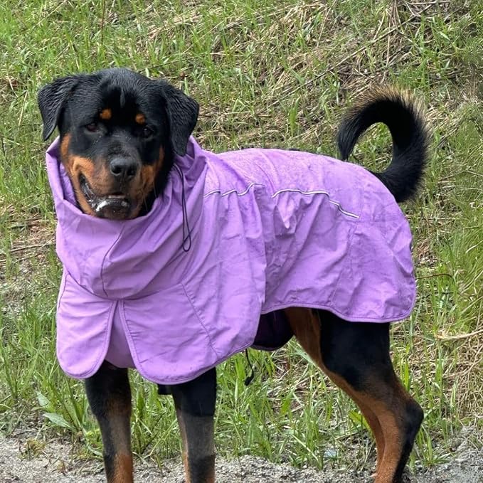 Spark Paws Dog Raincoat, Waterproof Windproof Rain Jacket, for Small Medium Large Extra Large Dogs, Reflective Breathable Full-Body Coverage Dry Suit - Purple - M