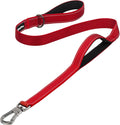 PetiFine 4FT Heavy Duty Dog Leash with Soft Padded Double Handle | Traffic Handle Extra Control,Auto Lock Hook,Reflective Nylon Walking Lead for Large,Medium,Small Breed Dogs