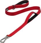 PetiFine 4FT Heavy Duty Dog Leash with Soft Padded Double Handle | Traffic Handle Extra Control,Auto Lock Hook,Reflective Nylon Walking Lead for Large,Medium,Small Breed Dogs