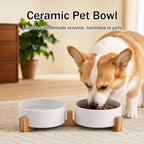 MateeyLife Ceramic Dog and Cat Bowls with Stand, 2-Pack Food and Water Bowl Set - Non-Slip Pet Bowls for Small & Medium Size Dogs，28.7OZ(White)