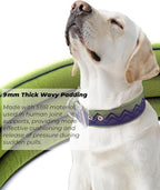 Dog Collar for Large Dogs,2 in Wide Heavy Duty,Pressure-Relief Padded, C-S | Professional Protection for Large and Giant Breeds,Handle for Control,Stainless Steel Buckle Ultra Safety,17-20 in