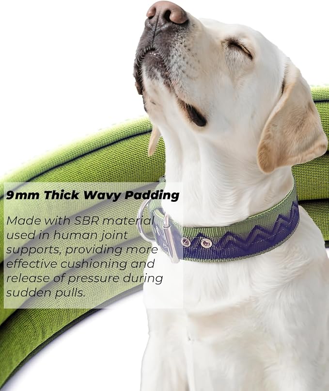 Dog Collar for Large Dogs,2 in Wide Heavy Duty,Pressure-Relief Padded, C-S | Professional Protection for Large and Giant Breeds,Handle for Control,Stainless Steel Buckle Ultra Safety,17-20 in