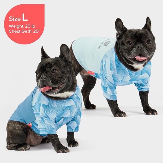 KYEESE 2Pack UV Protection Dog Shirt, UPF 50+ Cooling Dog T Shirts for Small Dogs Boy, Breathable Reflective Dogs Sun Shirts with Sleeves Summer Pet Clothes, Blue, L