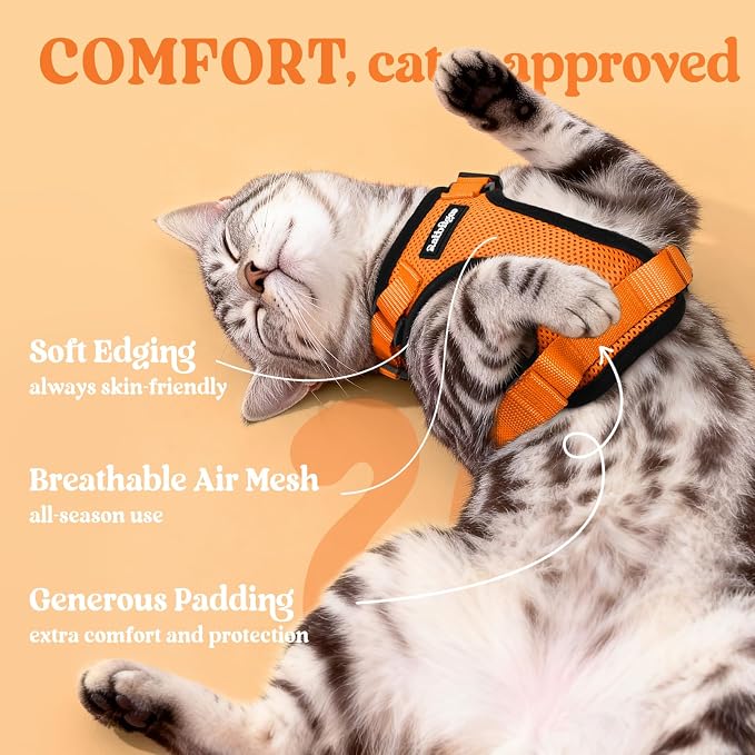 rabbitgoo Cat Harness and Leash Set, Escape Proof Vest, Orange | Soft Breathable Mesh, Easy Adjustable Fit, Snap Buckles, Sturdy Clip, Reflective Strips, for Average Cats Walks, S
