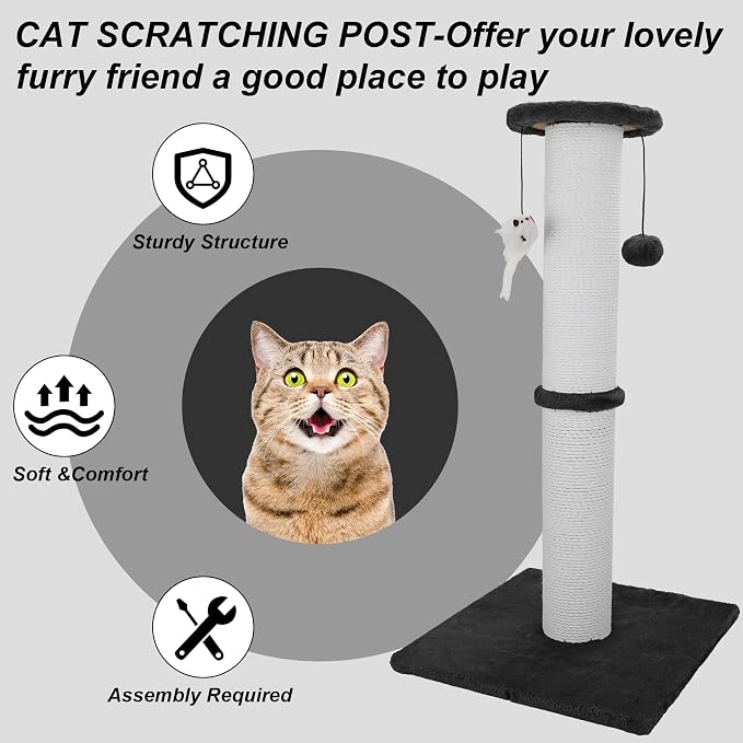 34-Inch Tall Cat Scratching Post for Large Cats, Stable Base, Black | Heavy-Duty Cat Scratcher, Extra-Tall Thick Post, Soft Natural Cotton Rope, Hanging Interactive Cat Toys, Indoor Cat Furniture