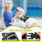 Service Dog Harness and Leash Set, XS, Multi-Colored, with 10 Patches, Reflective, for Small to XL Dogs