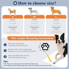 Breathable Dog Shoes Non-Slip Dog Boots for S, M, L Size Dog Hot Pavement with Vents All-Season for Paw Health