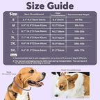 IDOMIK Dog Recovery Collar, Waterproof Soft Dog Cone After Surgery | Comfy Protective Elizabethan Collar Alternative for Dogs Cats, Adjustable Pet Neck Donut Cone Anti-Licking Wounds,Grey,M