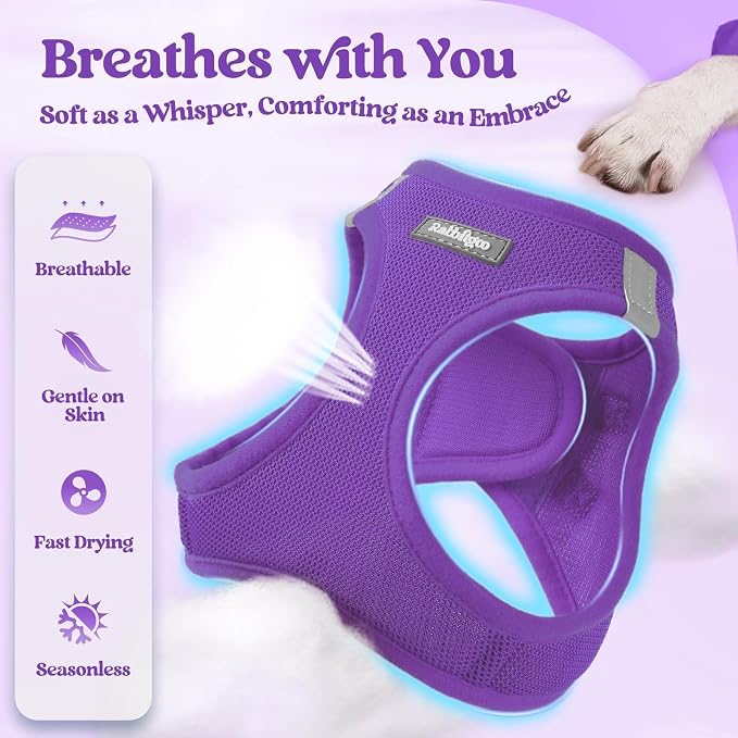 rabbitgoo Dog Harness Small Sized and Leash Set, Step-in Puppy Pet Vest | Light, Soft, Breathable Air Mesh, Easy on and Remove with Hook & Loop, Secure Reflective for Walking, Purple XS