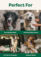 earth rated XL Pet Wipes for Dogs & Cats, Unscented Hypoallergenic, 60 Ct
