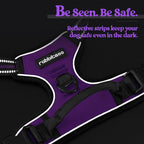 rabbitgoo Dog Harness, No Pull for Large Dogs with 2 Leash Clips, Pet Vest | No Choke with Handle, Adjustable Soft Padded, Reflective, Easy Control for Walking, Purple, X-Large