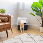 IRIS USA Large Front Door Cat Litter Box, Walk-in Entry, Navy | Senior Cats, Private Enclosure Design, Flip Door Access, Covered Walk-Through, Privacy Hood, Contained Environment