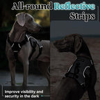 rabbitgoo Escape Proof Dog Harness for Large, No Pull with Lift Handle | No Escape, Full Soft Padded, Reflective Adjustable Vest, Leash Clip for Walking Hiking Training, Grey, Large