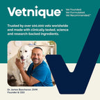 Vetnique Dermabliss Medicated Cat & Dog Shampoo, Chlorhexidine Ketoconazole | Antibacterial Antifungal Shampoo for Yeast Infection, Hot Spots & Itchy Skin, Dog & Cat Medicated Wash With Lactic Acid