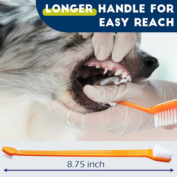 Dog Toothbrush Set of 10 - Dual Headed Tooth Brushes for Small to Large Dogs, Cat, Puppy, Kitten & Most Pet, Double Sided Teeth Cleaning Bulk Kit with Soft Bristles Long Handle, 10 Colors