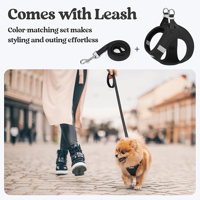 rabbitgoo Dog Harness Medium Sized and Leash Set, Step-in Puppy Pet Vest | Light, Soft, Breathable Air Mesh, Easy on and Remove with Hook & Loop, Secure Reflective for Walking, Black L