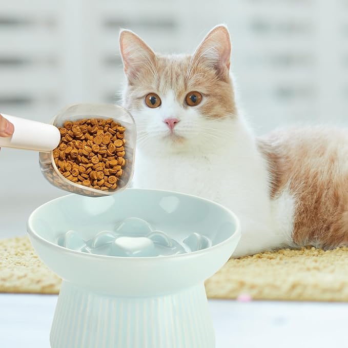 ABuff 2 Pack Raised Cat Slow Feeder, Elevated Slow Feed Dish for Cats and Small Dogs, Ceramic Slow Feeder Cat Bowl, No Spill High Edge for Dry/Wet Food(Blue, Green)