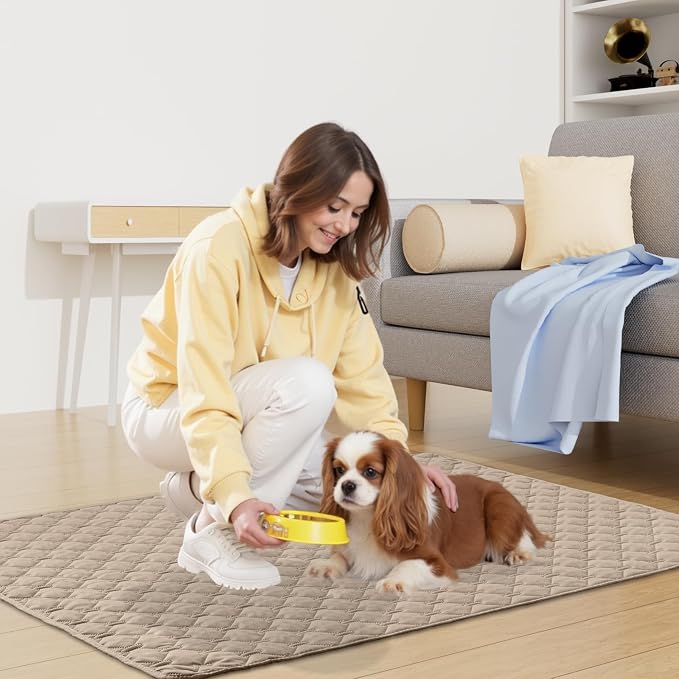 Smiry Waterproof Dog Bed Cover Blanket, Reversible Pet Blanket | Soft Reversible, Washable Leakproof Cats Dogs Couch Cover for Sofa, Couch, Furniture (40x50 Inch)