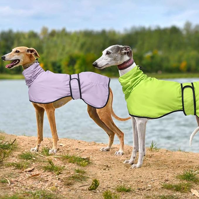 Greyhound Whippet Raincoat Waterproof with Reflective Stripe high Neck fit for Italian Greyhounds Whippets Long Back Breeds - Light Green - L