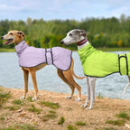 Greyhound Whippet Raincoat Waterproof with Reflective Stripe high Neck fit for Italian Greyhounds Whippets Long Back Breeds - Light Green - XL