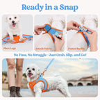 rabbitgoo Dog Harness Medium Sized and Leash Set, Step-in Puppy Pet Vest | Light, Soft, Breathable Air Mesh, Easy on and Remove with Hook & Loop, Secure Reflective for Walking, Blue & Orange L