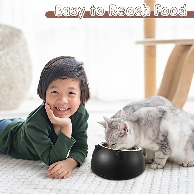 Irenare Elevated Cat Bowls 4 Pack, Stainless Steel Slanted Food Dishes 7oz, Raised Pet Bowls for Cats Small Breeds, Ergonomic Kitten Puppy Feeding Set for Digestion Health Easy Clean