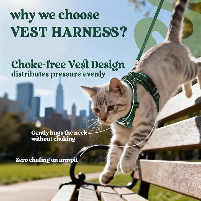 rabbitgoo Cat Harness and Leash Set, Escape Proof Vest, Rainforest Green | Soft Breathable Mesh, Easy Adjustable Fit, Snap Buckles, Sturdy Clip, Reflective Strips, for Small & Average Cats Walks, Xs